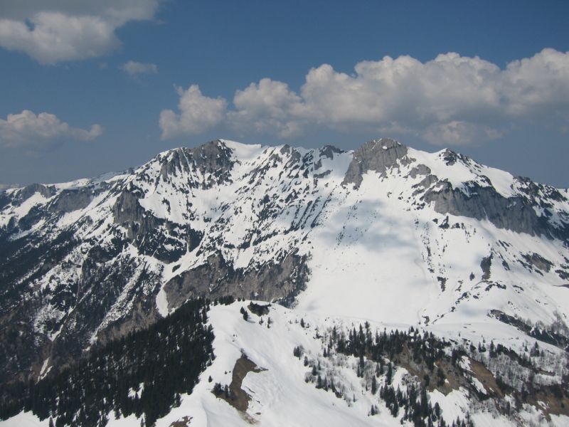 2009-04-13 Stripsenkopf (35)